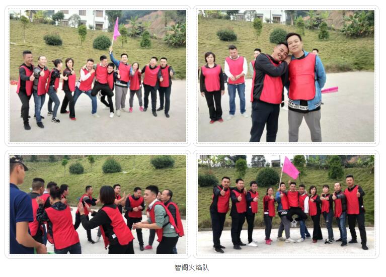 新西蘭智閣板材 新西蘭智閣板材